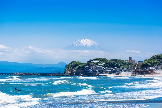 A variety of local foods including shirasu, Kamakura vegetables, and Hato Sabure.