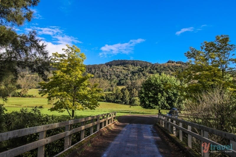 wooden bridge leading to green valley
