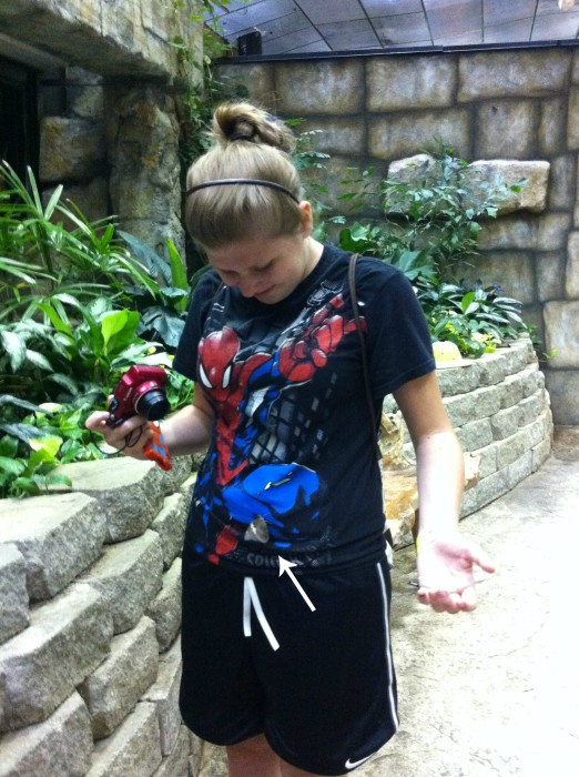 Butterfly Palace