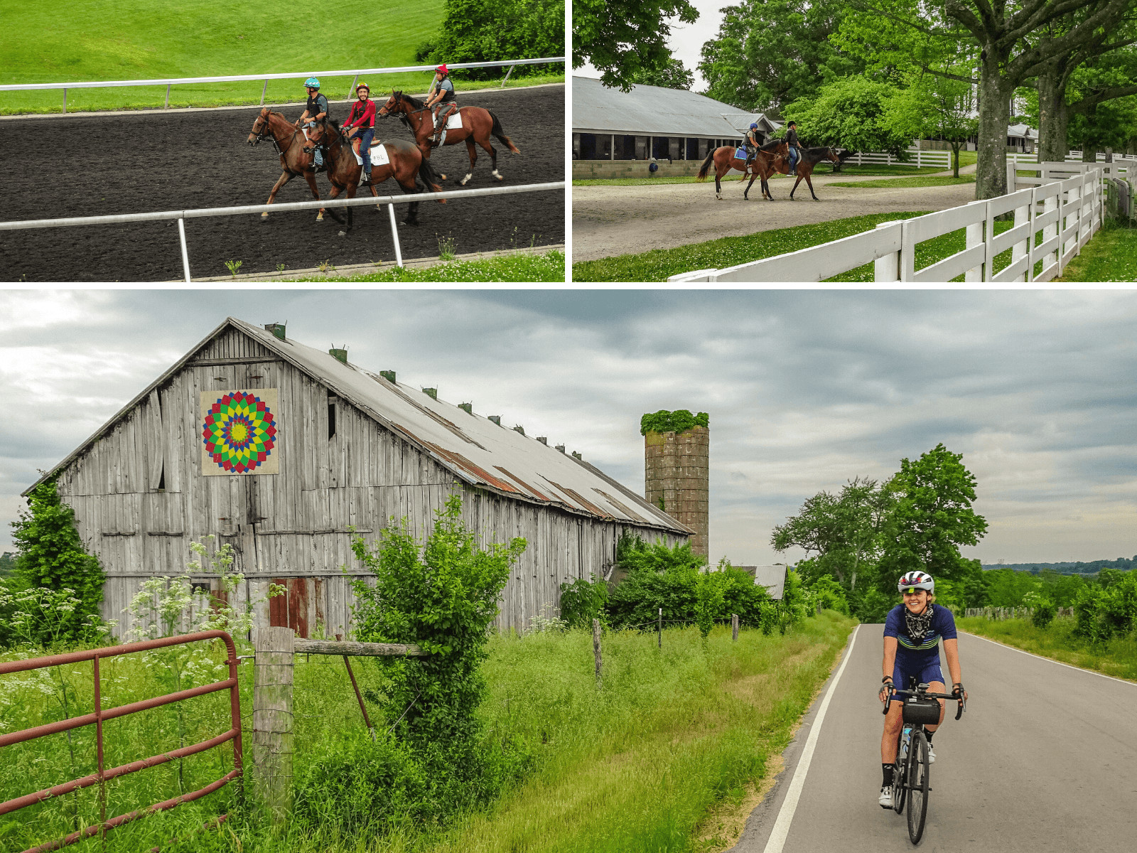 Kentucky Bourbon Trail Bike Tour