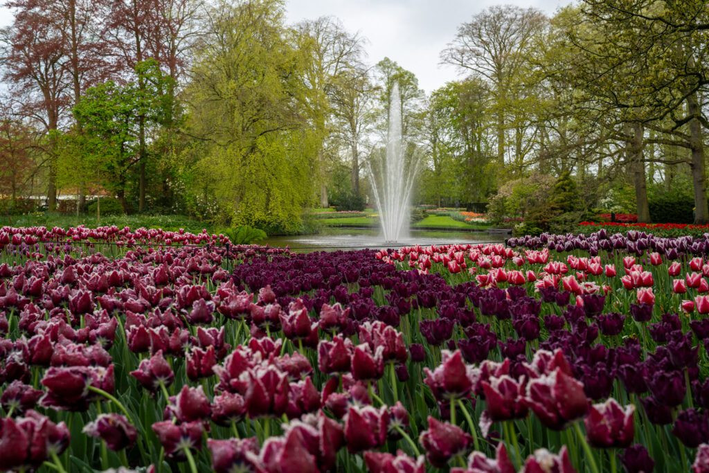 Keukenhof Gardens Fountain