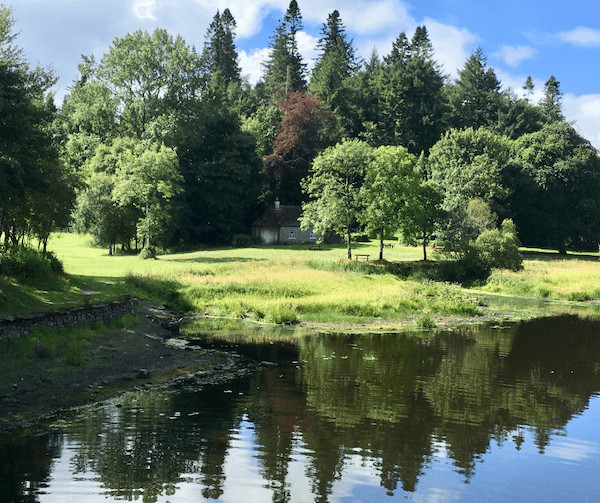 Killykeen Forest Park, Co. Cavan. Photo: Falombini for Getty Images.