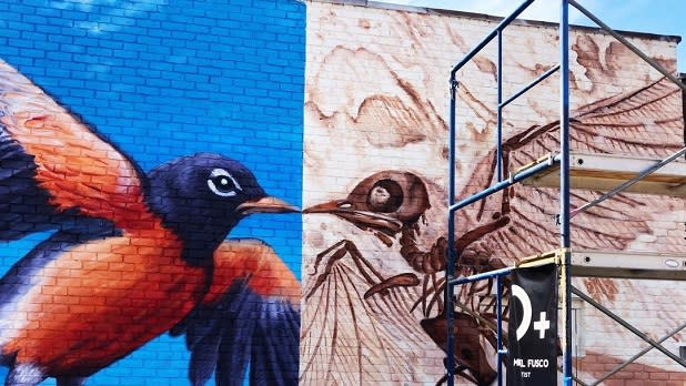 Vibrant murals in Kingston's Midtown Arts District