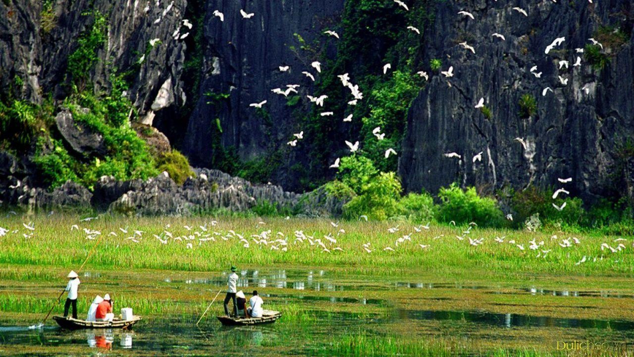 Boat tours through Trang An's waterways