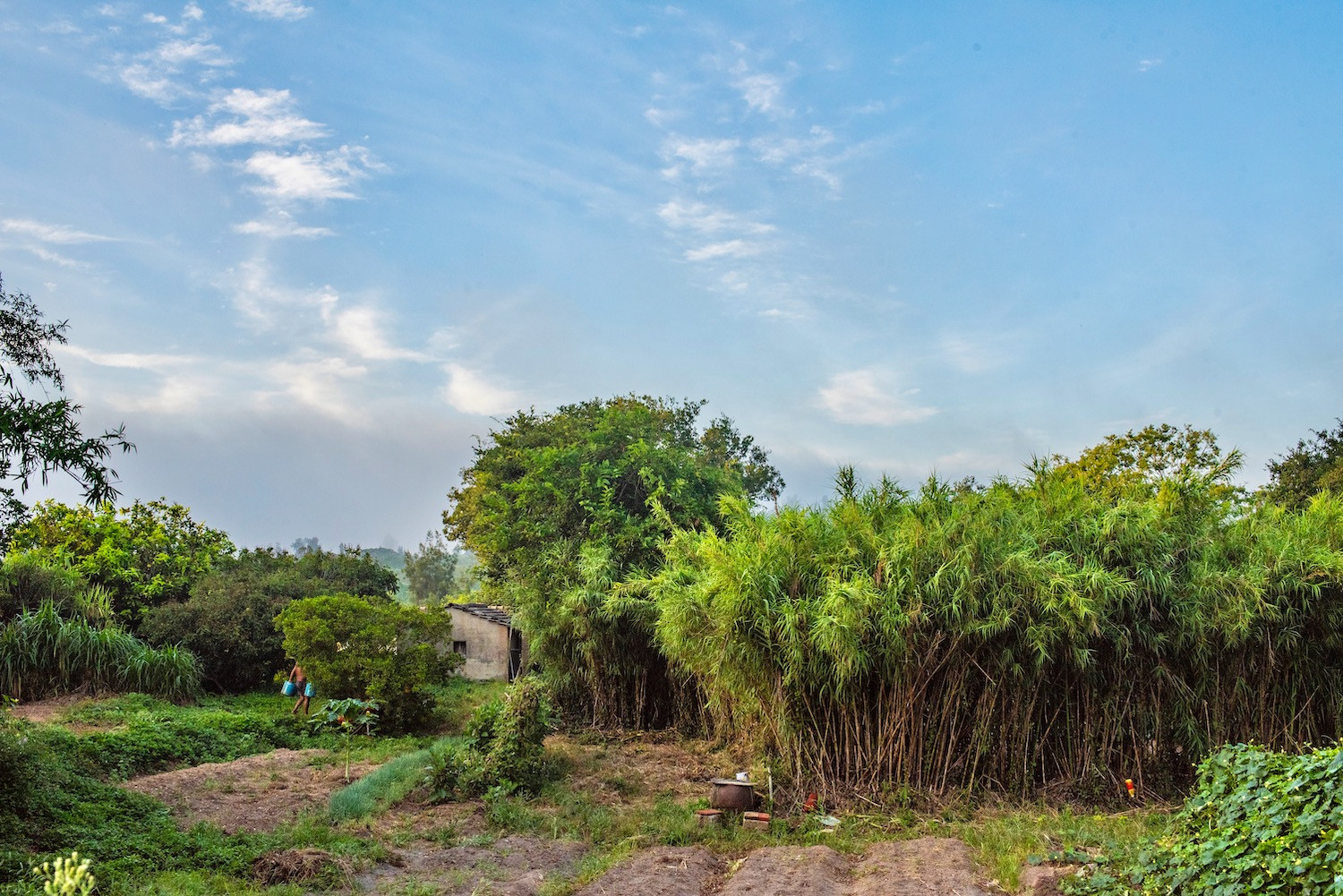 kinmen 6