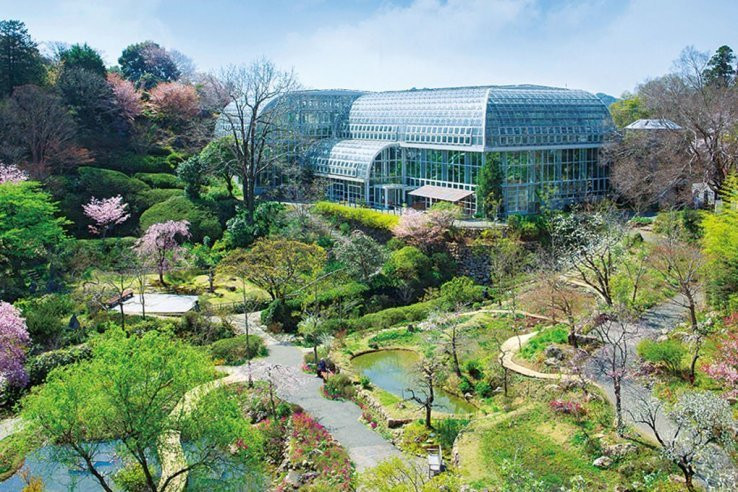 Nestled on Godaisan, a mountain just East of Kochi, The Kochi Prefectural Makino Botanical Garden is one of the most comprehensive botanical gardens in all of Japan