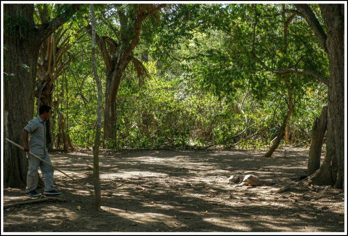 Komodo Island Trekking