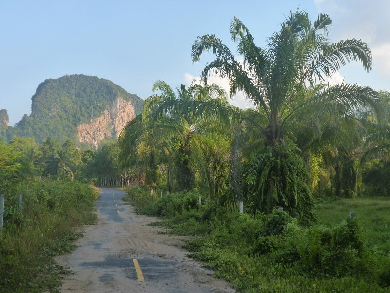 Krabi landscape showcasing lush greenery and limestone karsts