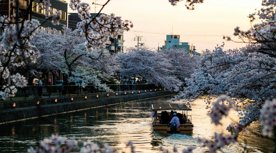 Kyoto, Japan: Serenity and Culture