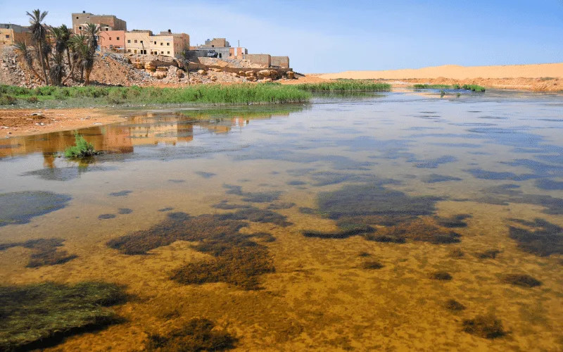 Foum El Oued beach near Laayoune, Morocco, showcasing the serene environment where the river meets the Atlantic Ocean, ideal for swimming, sunbathing, and enjoying the cool ocean breeze, with opportunities for water sports like windsurfing and kitesurfing.