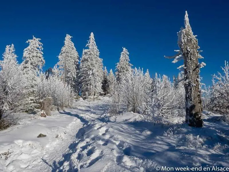 White Lake in Alsace during winter