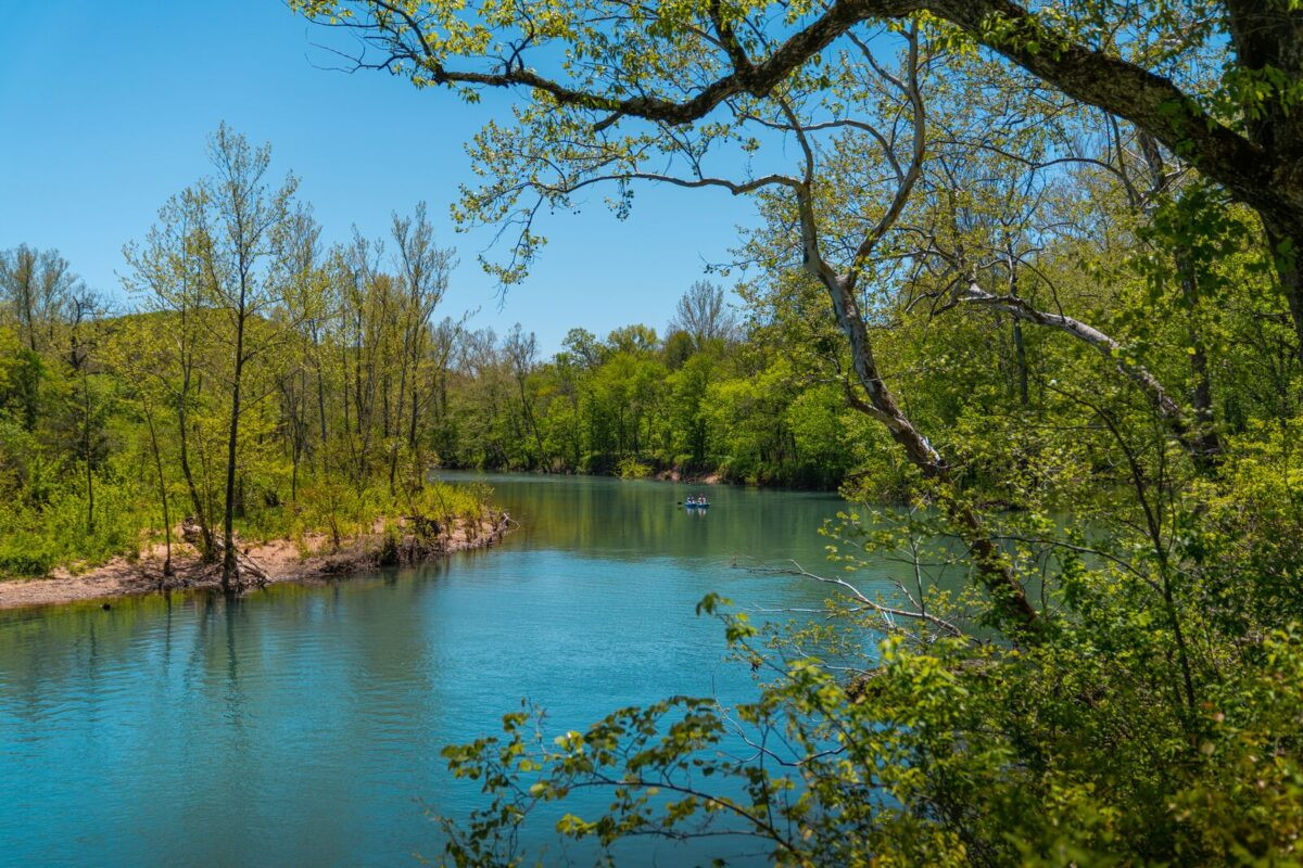 People float down a river in a kayak. There are lush trees covering the banks of the river, and the sky is bright blue with no clouds.