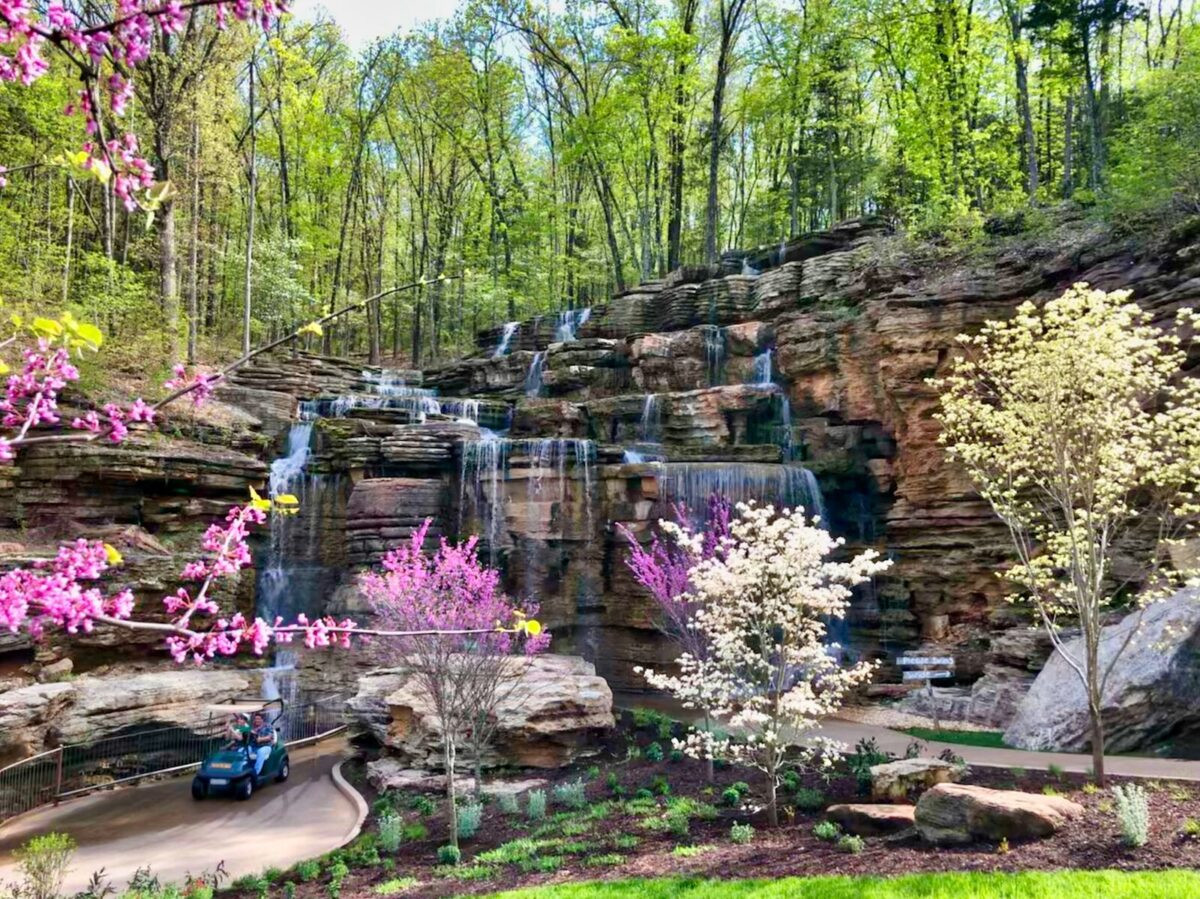 People sit on a golf cart and drive through the Lost Canyon Cave and Nature Trail. There are waterfalls running over the bluffs, green-leafed trees on top of the bluff. Trees with purple and white flowers bloom and surround the trail.