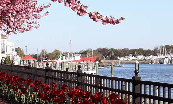 Lewes Beach and floral displays