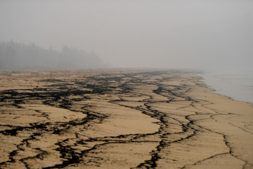 Ash and fire debris washed up on Boydtown Beach near Eden, Australia, highlighting the environmental pollution and its effects on marine ecosystems