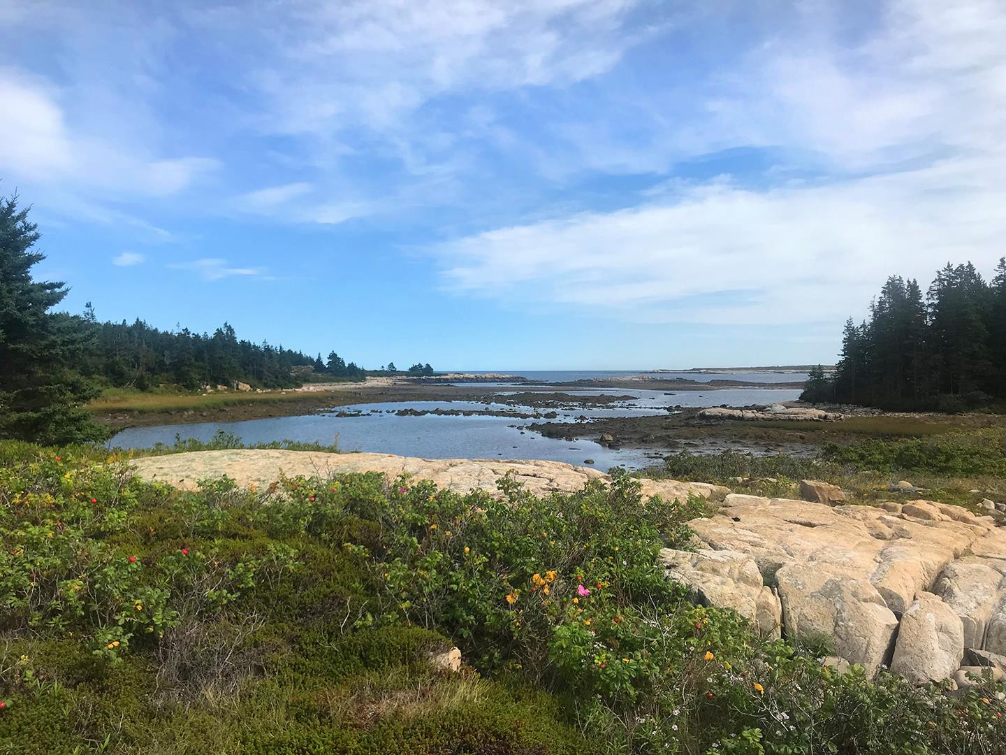 Little Moose Island with lush greenery and calm waters