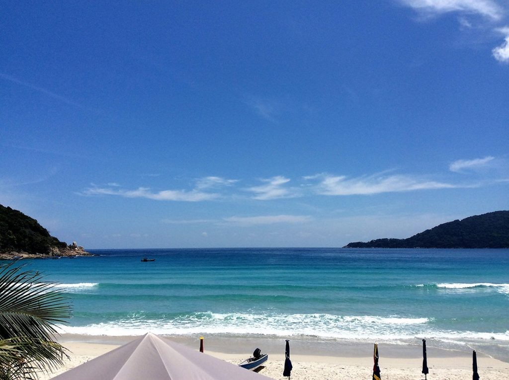 Palm trees on a beach, suggesting a remote working location