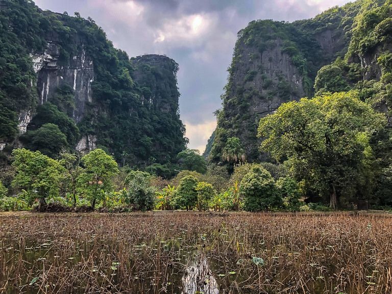 Lotus flowers and limestone karsts in rural Vietnam