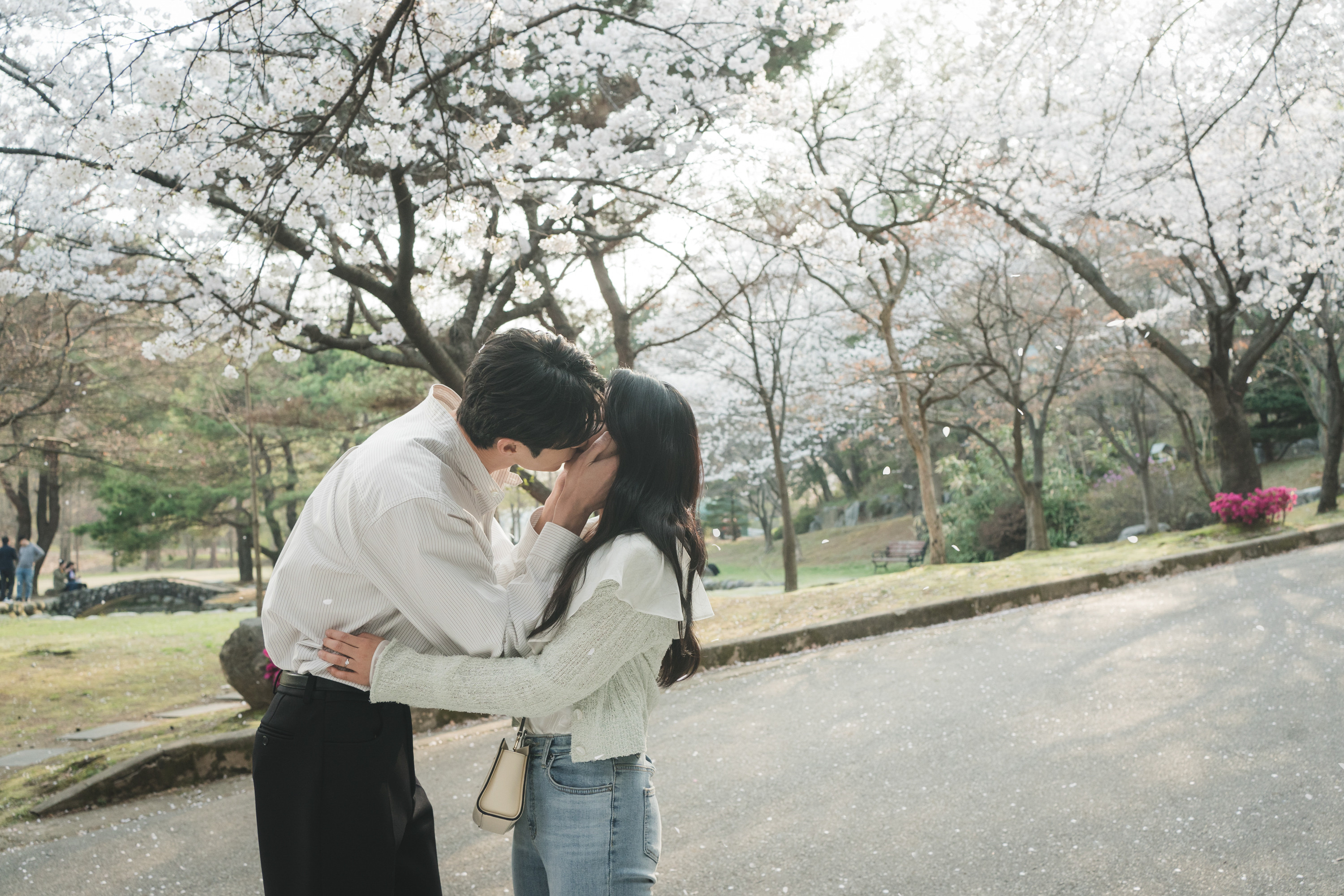 Sunjae proposing to Sol under cherry blossoms