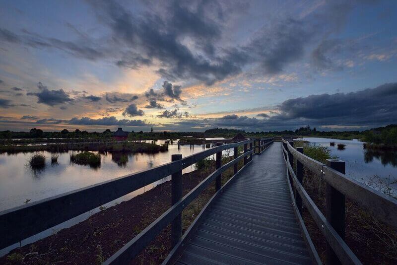 Boardwalk through wetlands at dusk Kildare Ireland.