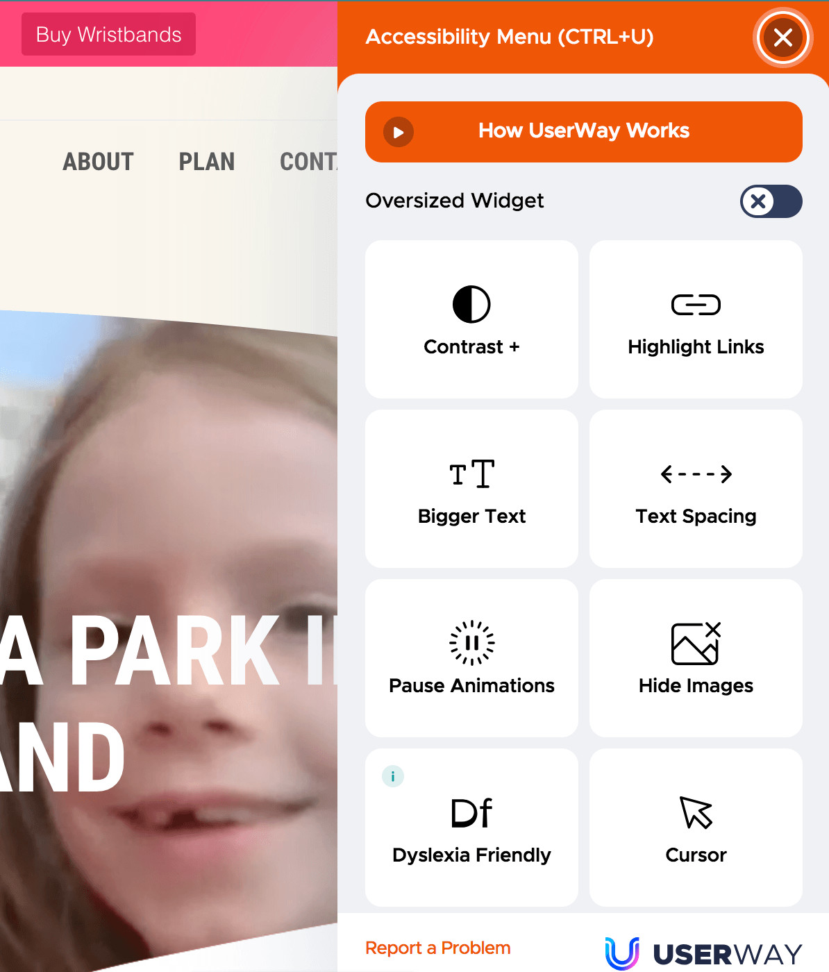 Accessibility menu bar on Luna Park