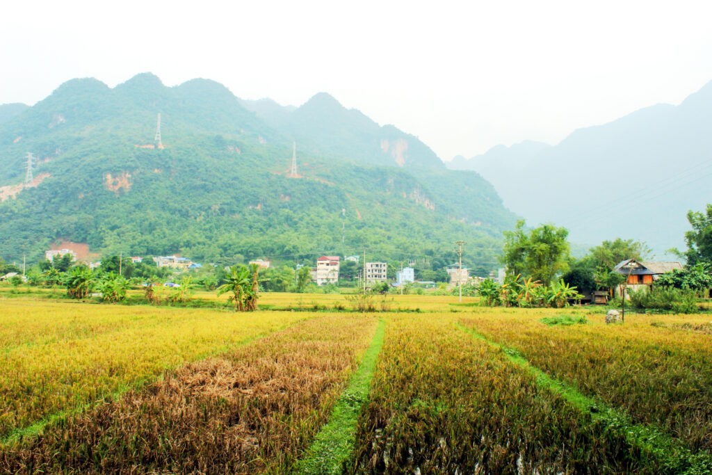 mai chau 41