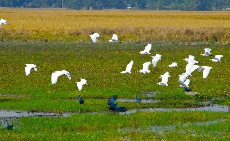 Majuli Island Assam