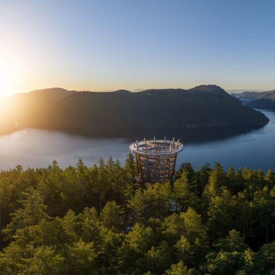 Malahat Skywalk Banner