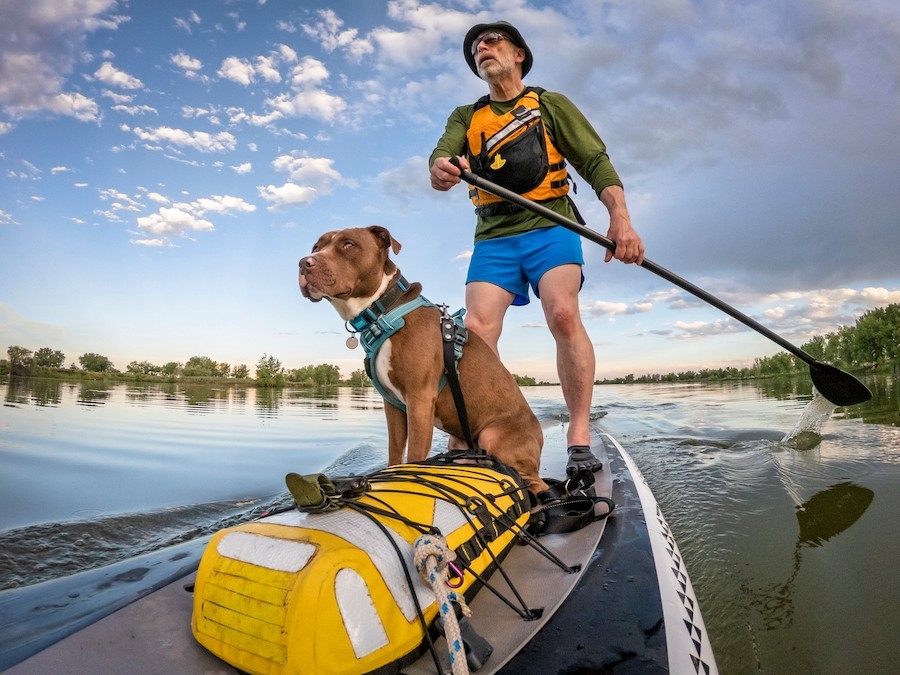 Man paddling with dog, inspiring travel newsletter content with outdoor activities.