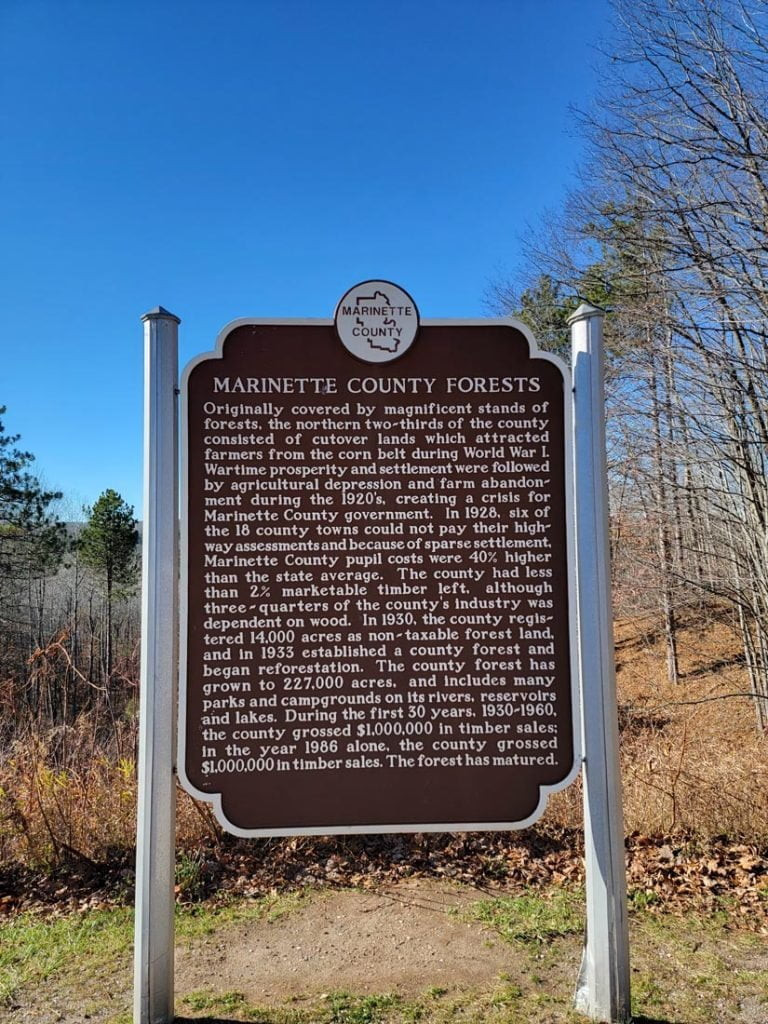 Marinette County Forest