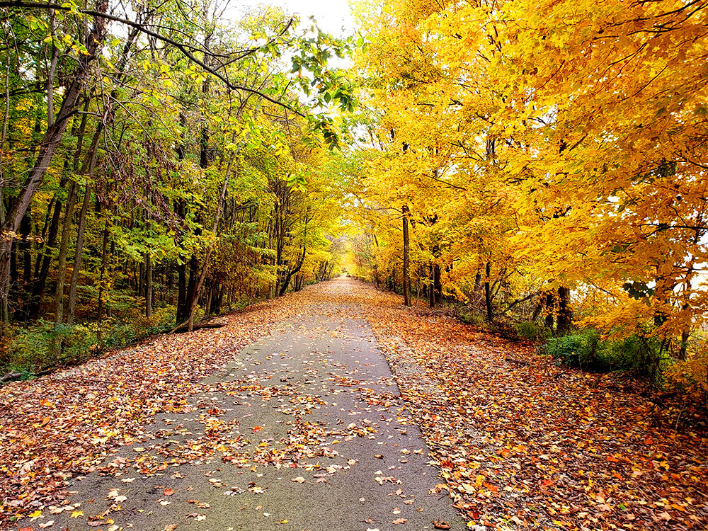 Marion Tallgrass Trail: Scenic trails and nature exploration near Marion