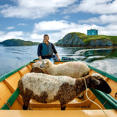 Dramatic coastline in Newfoundland and Labrador, Canada.