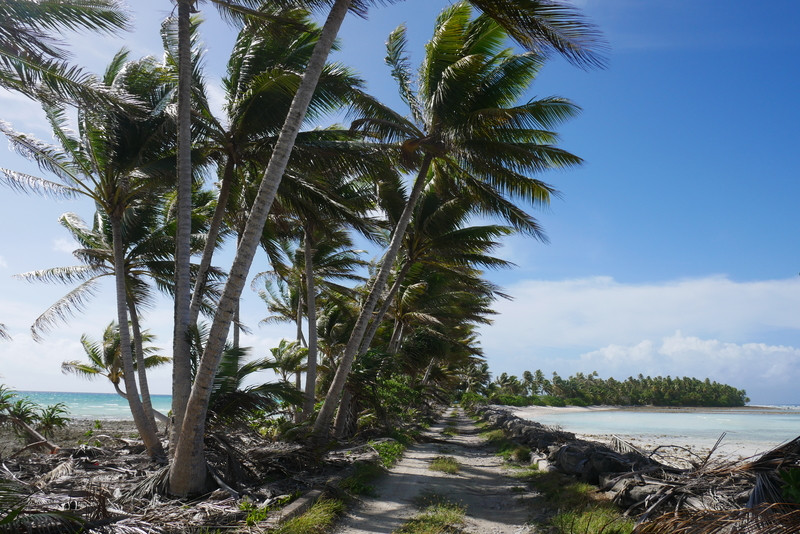 A long, narrow strip of land on Arno Atoll, with water visible on both sides of the road