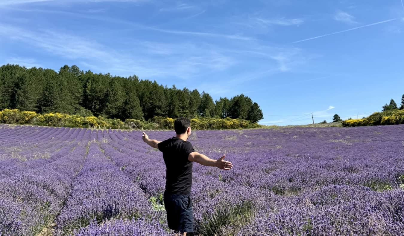 WWOOFing in Portugal