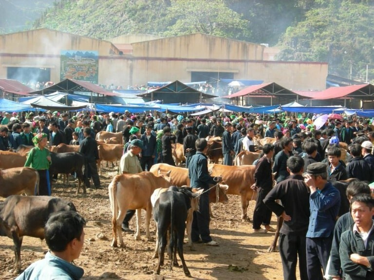 The cattle market is a lively area where locals trade livestock, offering a glimpse into the agricultural lifestyle and culture of the community