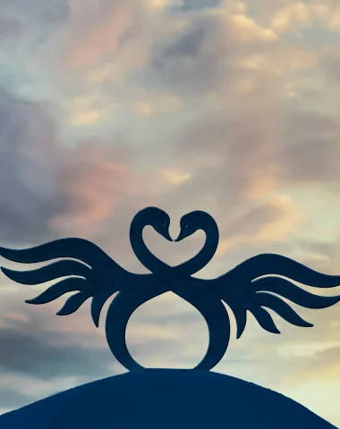 Swan du méridien de l