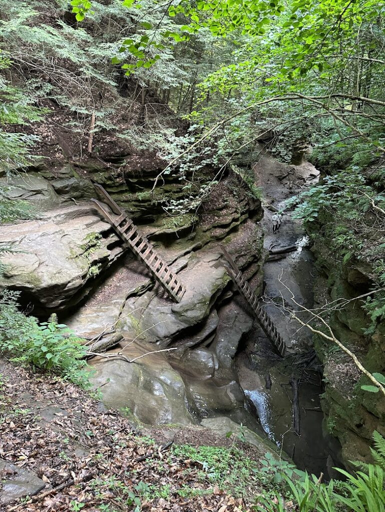 Ladders descending into a canyon at Turkey Run State Park in Parke County, Indiana, a great Midwest Fall Trip