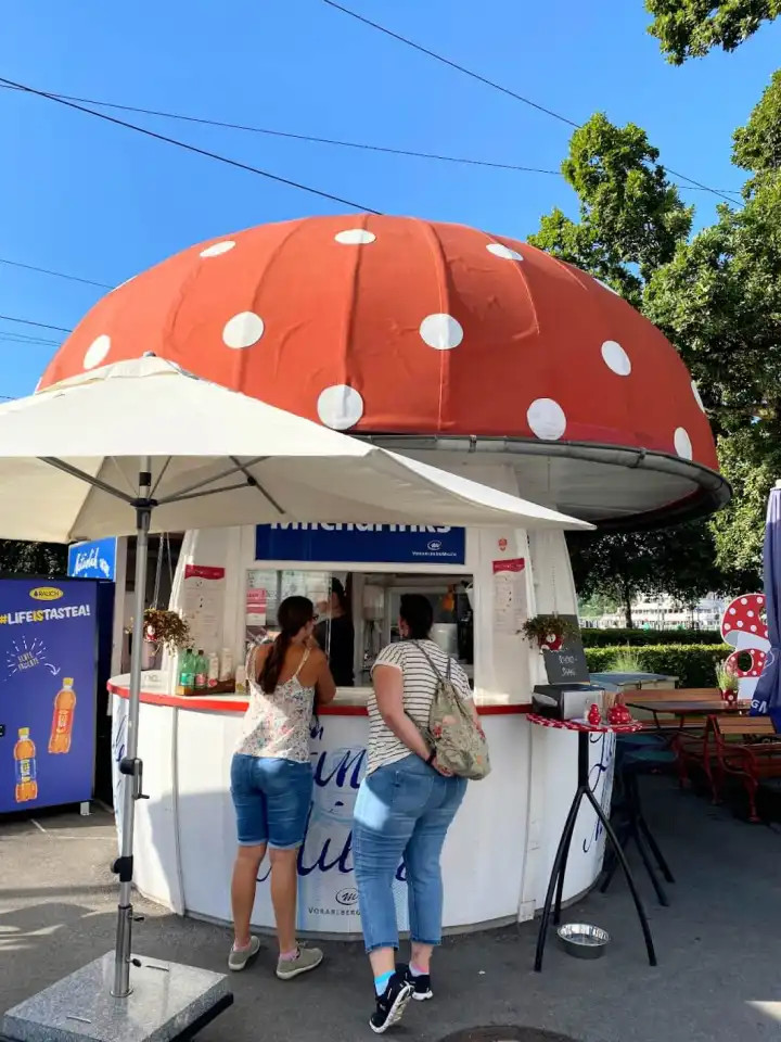 Milchpilz in Bregenz