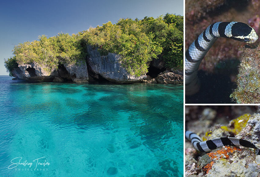 Sea Krait at Minalayo Island, Ticao
