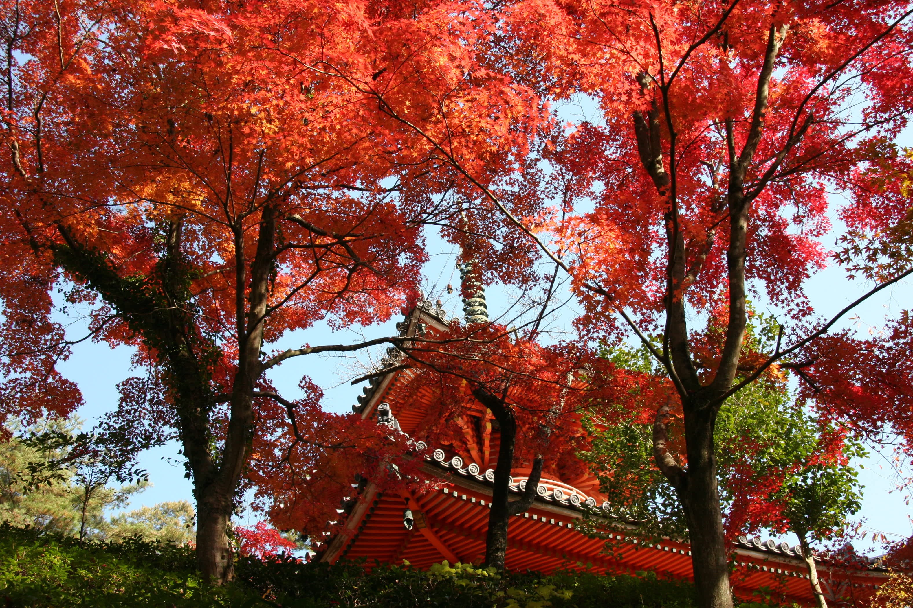 Mitaki-Dera Temple