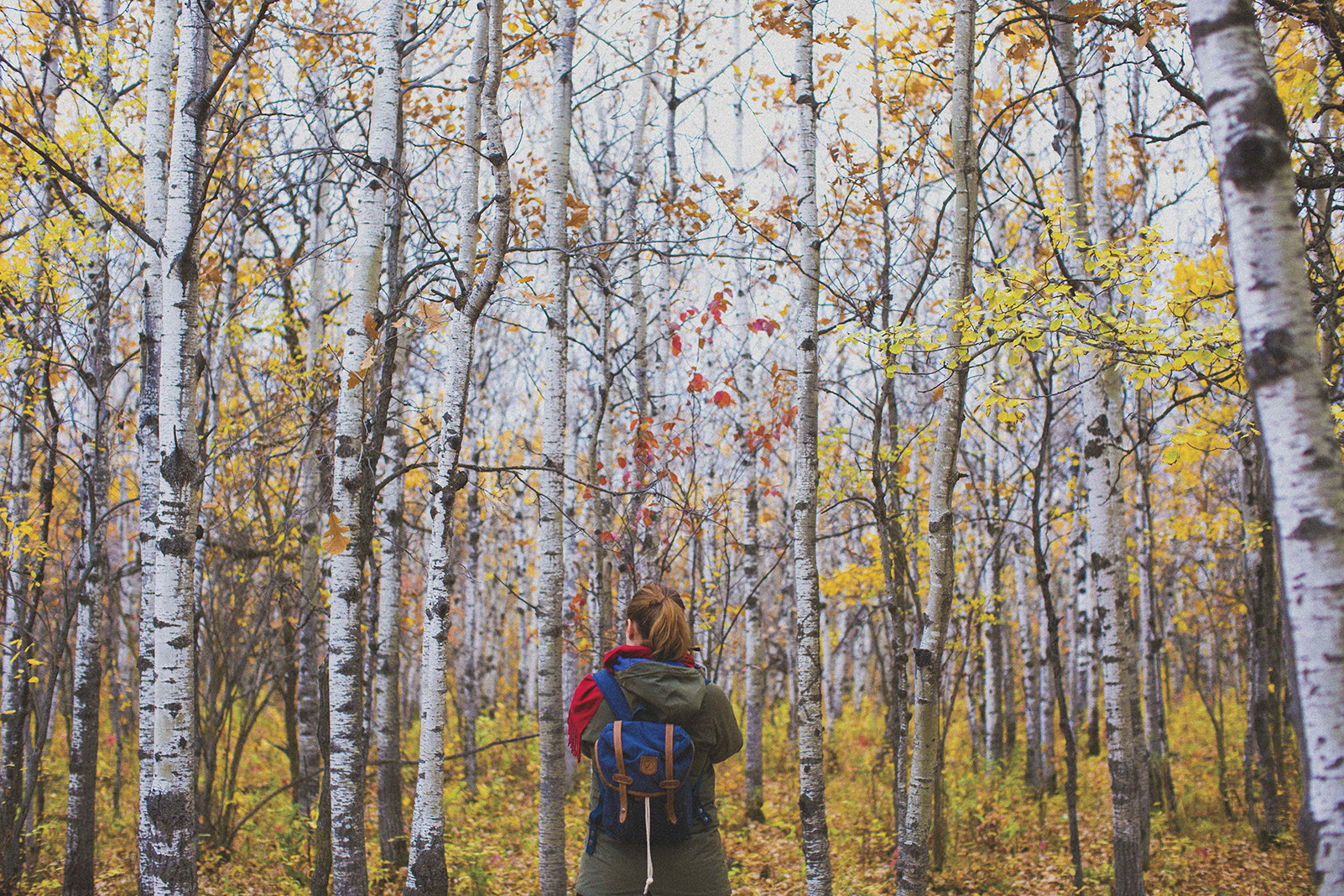 Fort Whyte Alive with a picturesque trail