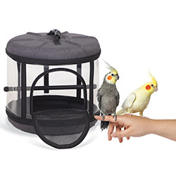 Bird Carrier Essentials