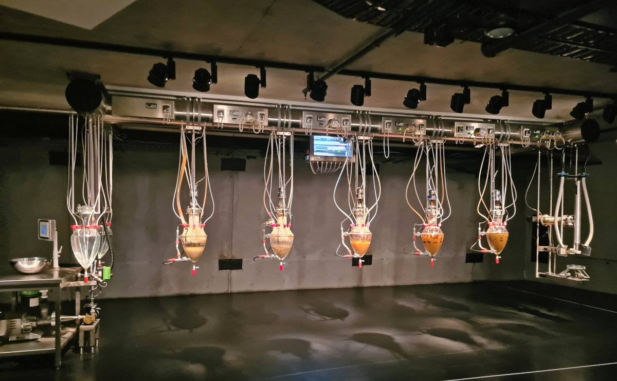 MONA at Hobart Cloaca