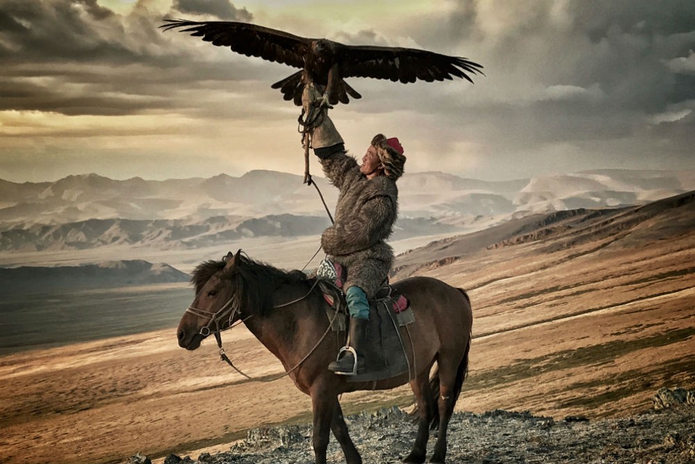 An eagle hunter on horseback in Mongolia, showcasing the unique Golden Eagle Festival in the Altai Mountains.