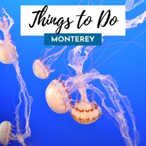 Monterey Things 300