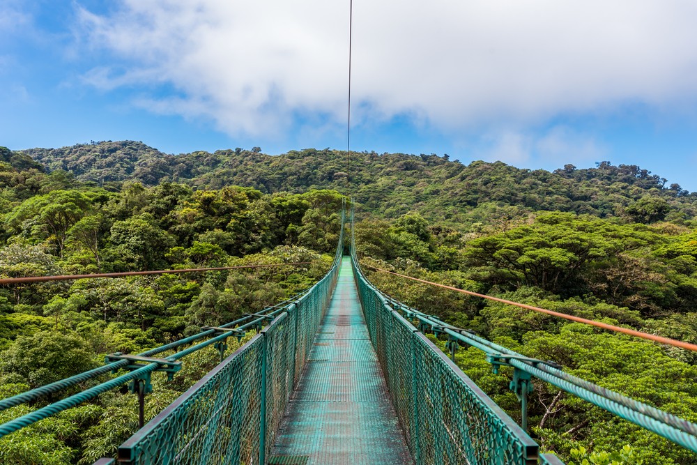 Hanging bridges in the cloud forest of Monteverde, Costa Rica, providing a treetop perspective.