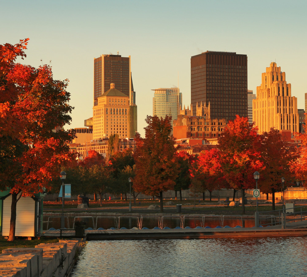 Montreal's city skyline under a beautiful fall sky