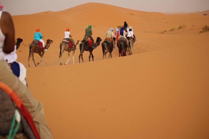 Sunset view during a camel ride adventure in Sahara Desert