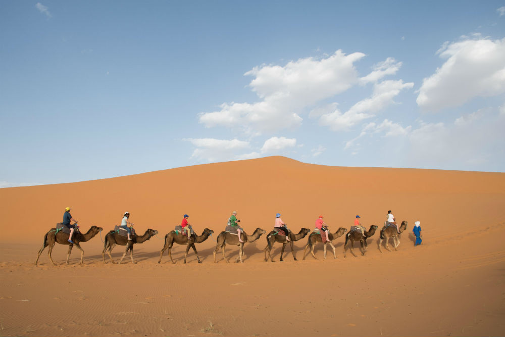 Camel trek through the Sahara Desert, Morocco