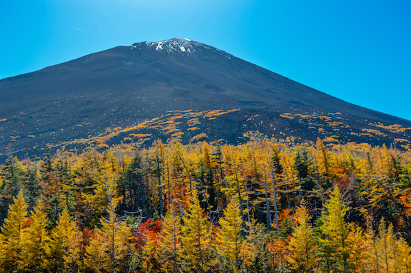 mt fuji day trip from tokyo